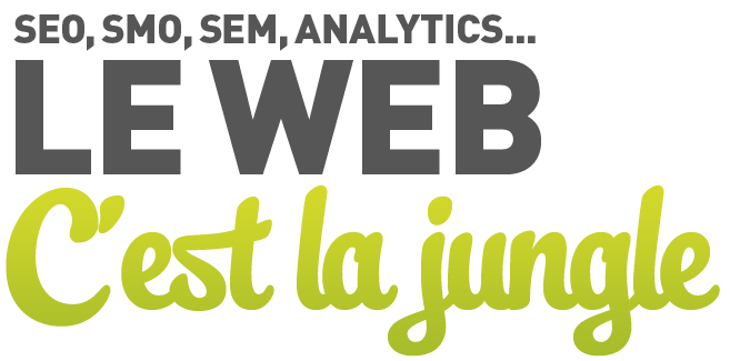 SEO, SMO, SEM, Analytics... le web c’est la jungle